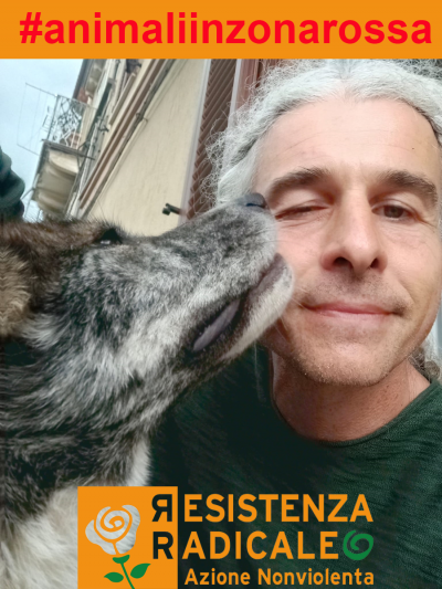 #animaliinzonarossa