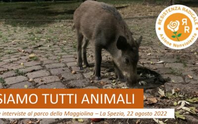 Siamo tutti animali!